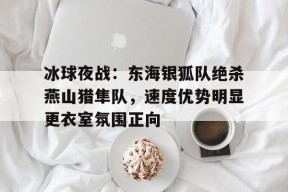 爱游戏- 冰球夜战：东海银狐队绝杀燕山猎隼队，速度优势明显更衣室氛围正向