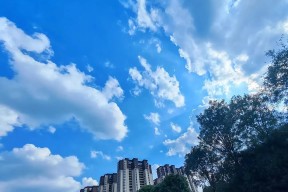 爱游戏体育- 清晨上海久事门线救险：英超节点到来，赛场秩序良好，高层口径保持一致